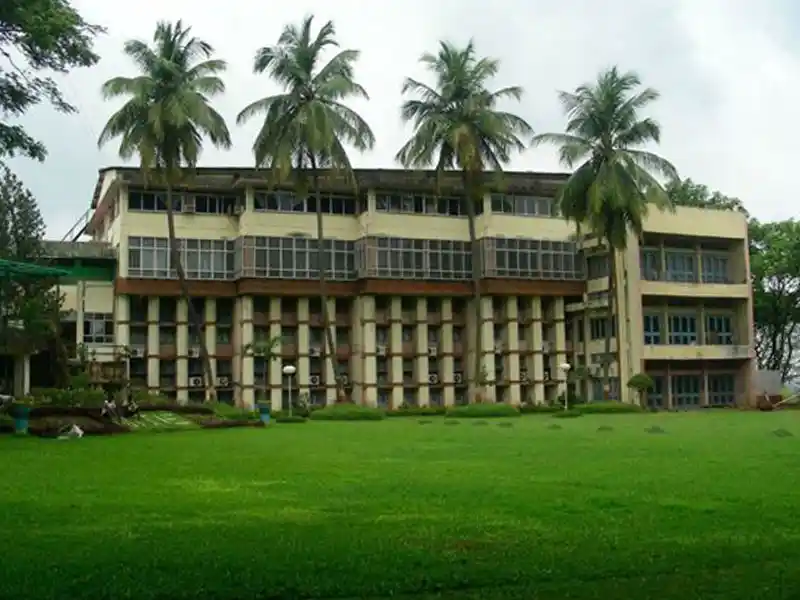 NIEM The Institute in Event Management Banner