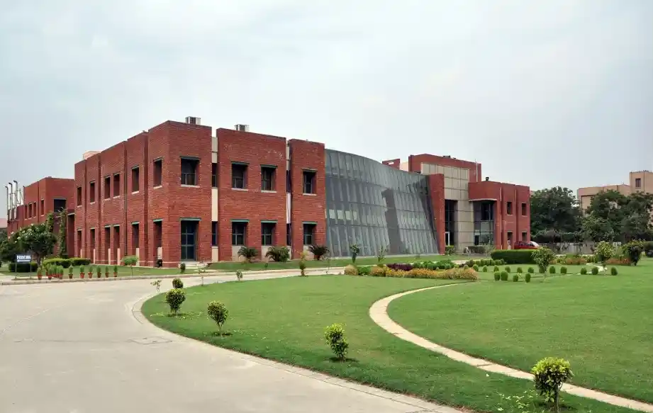 Jaipuria Institute Of Management Banner
