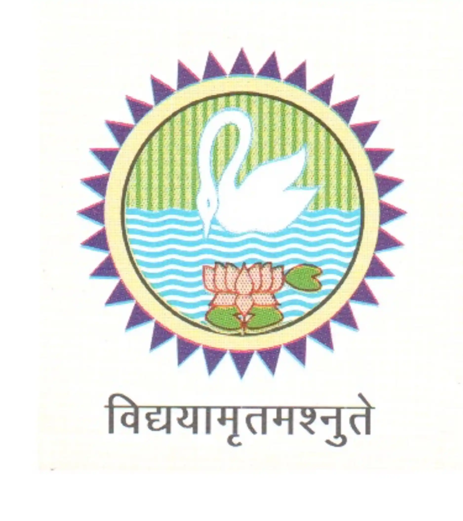 SD College of Engineering and Technology [SDCET] Muzaffarnagar logo