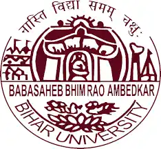 Directorate of Distance Education, B.R.A. Bihar University [DDEBRABU] Muzaffarpur logo
