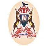 Rai Saheb Bhanwar Singh College [RSBSC] Sehore logo